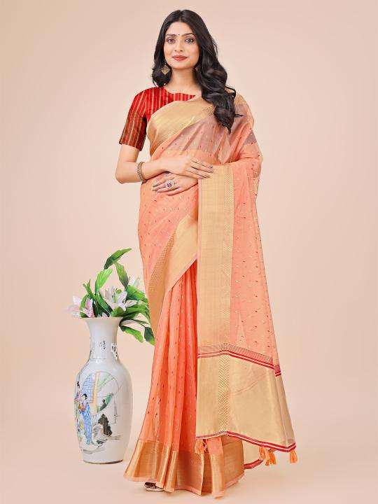 ASTITA FLORANCE Designer sarees in Ahmedabad