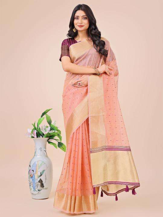 ASTITA FLORANCE Designer sarees in Ahmedabad