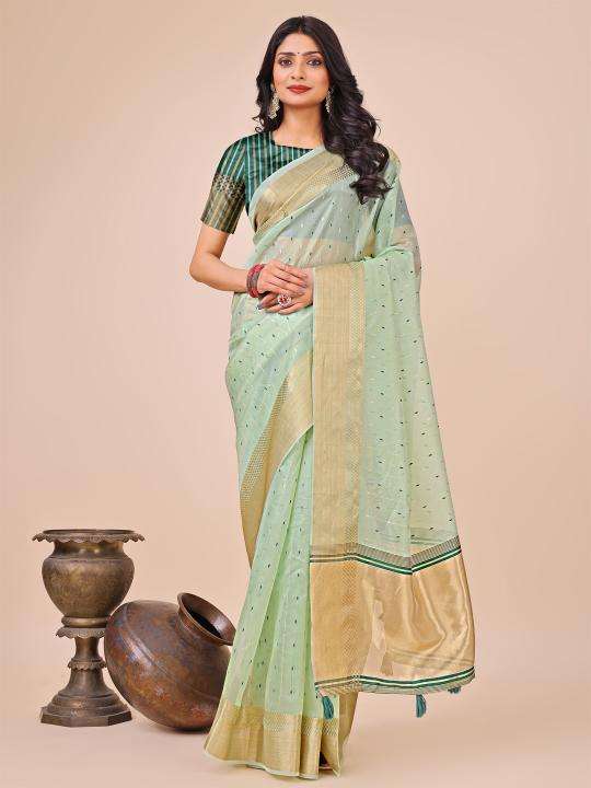ASTITA FLORANCE Designer sarees in Ahmedabad