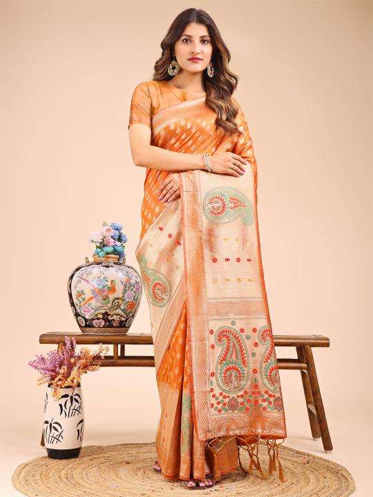 ASTITA RAAGVI Designer sarees in Delhi