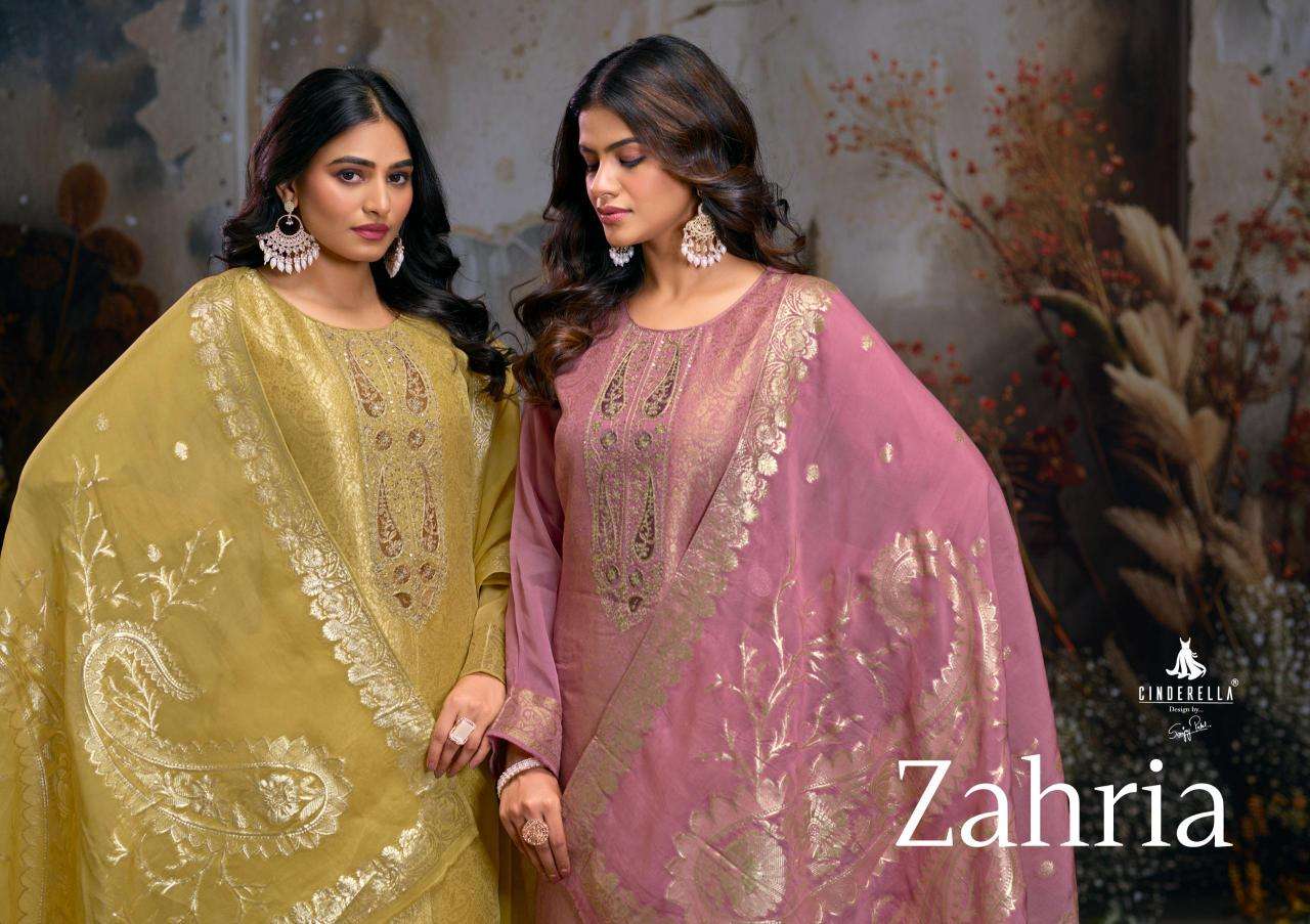 Cinderella zahria Mumbai Dress Material Wholesale Market