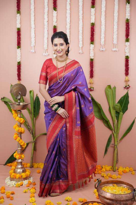 Ragini vol 1 soft silk Wholesale saree manufacturers in surat