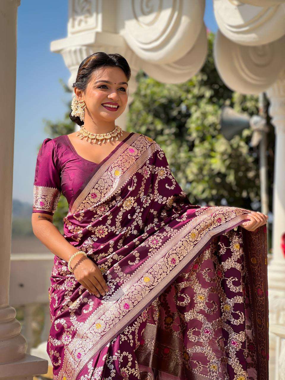 Banarasi-6 Fancy sarees wholesale market