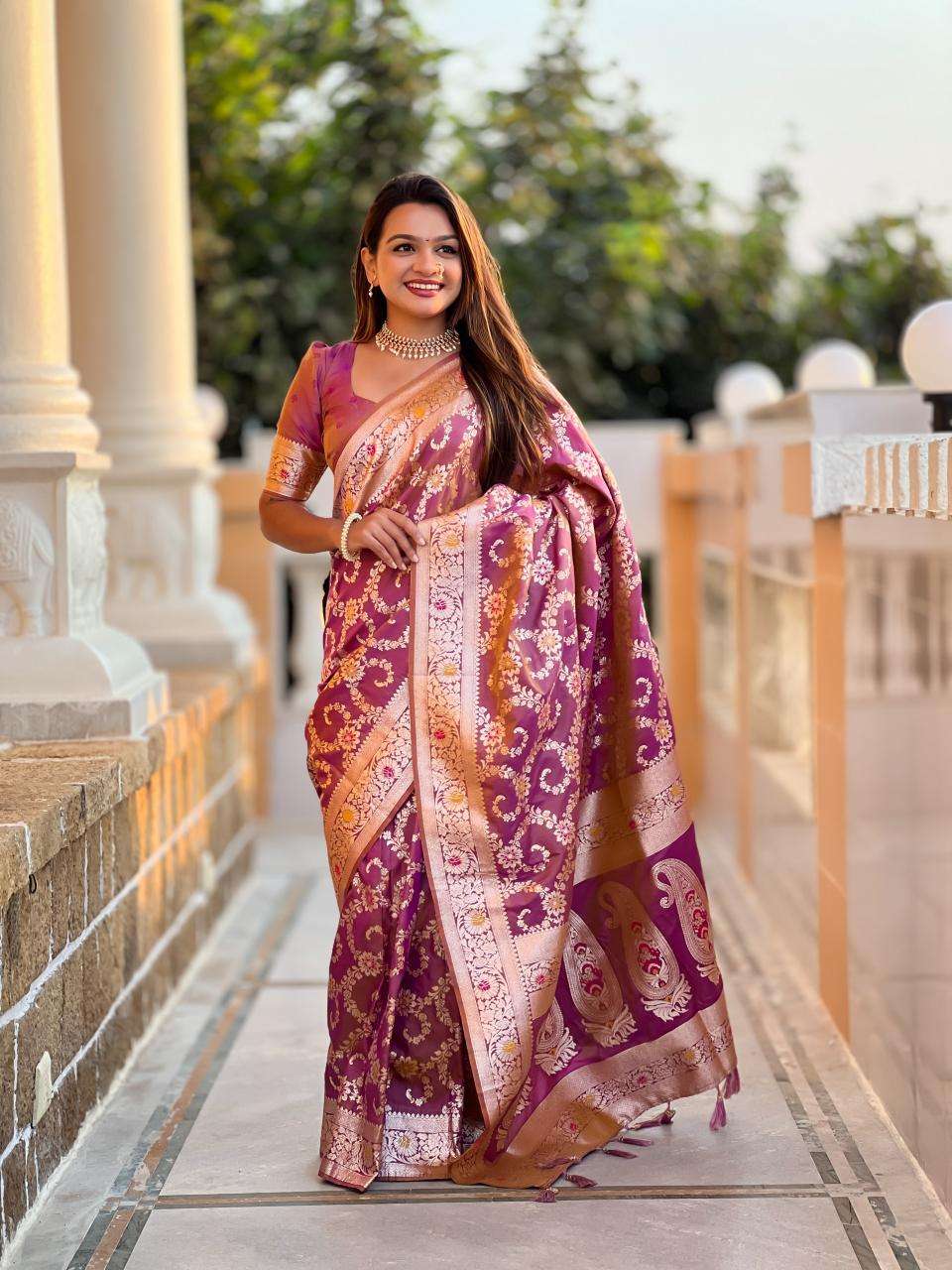Banarasi-6 Fancy sarees wholesale market