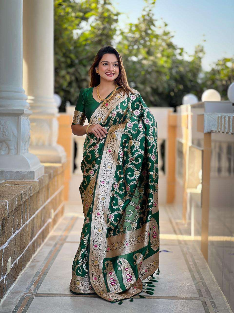 Banarasi-6 Fancy sarees wholesale market