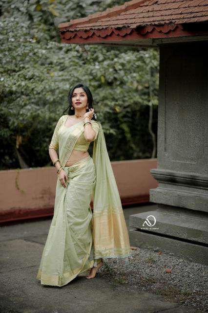Mohini-vol-19 cotton with zari  Surat saree market