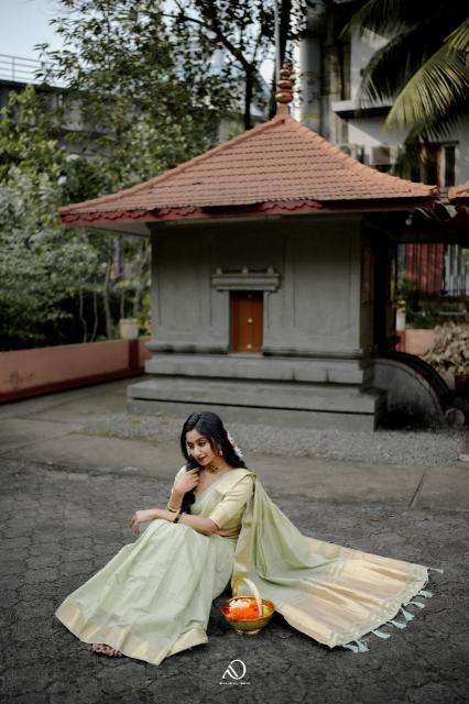 Mohini-vol-19 cotton with zari  Surat saree market