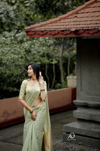 Mohini-vol-19 cotton with zari  Surat saree market