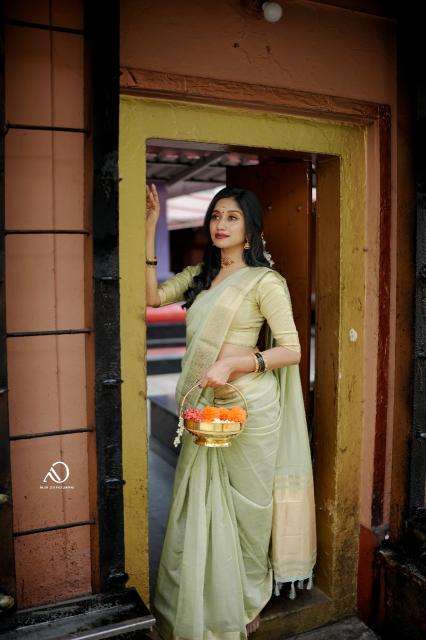 Mohini-vol-19 cotton with zari  Surat saree market