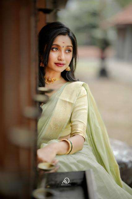 Mohini-vol-19 cotton with zari  Surat saree market