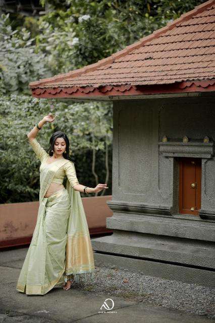 Mohini-vol-19 cotton with zari  Surat saree market