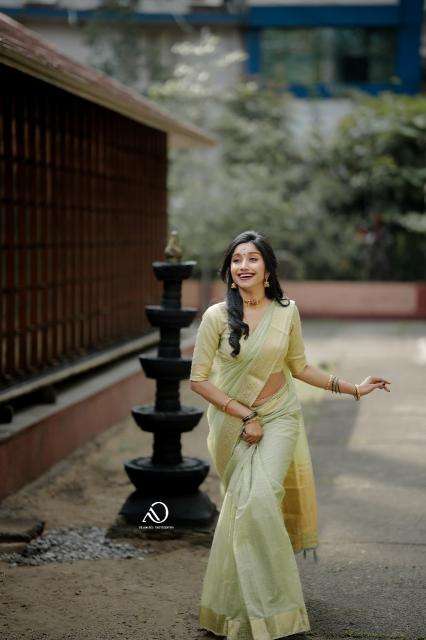 Mohini-vol-19 cotton with zari  Surat saree market