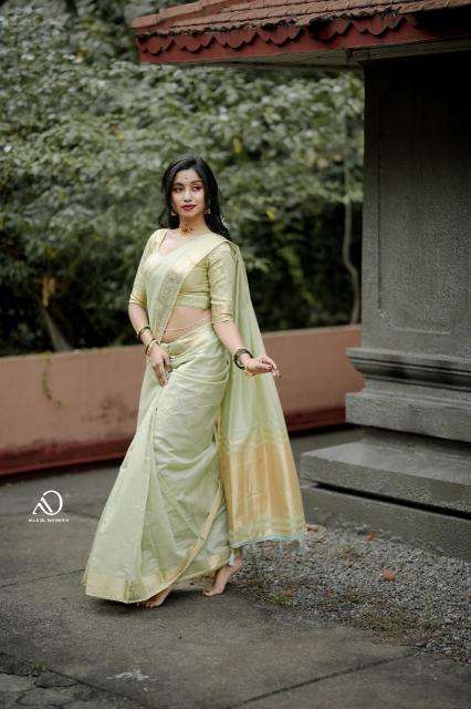 Mohini-vol-19 cotton with zari  Surat saree market