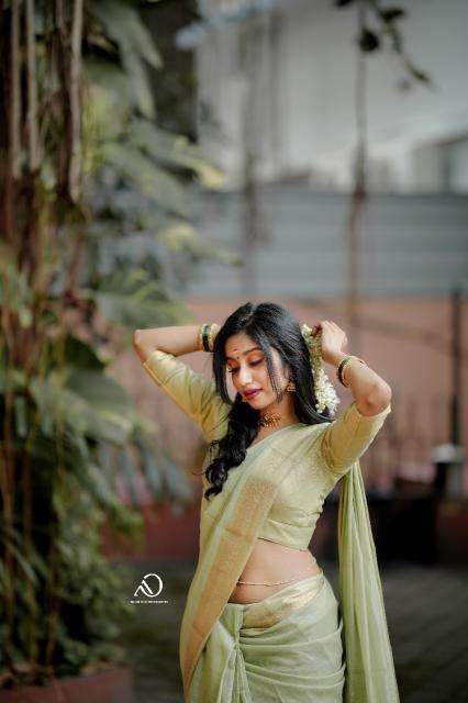 Mohini-vol-19 cotton with zari  Surat saree market