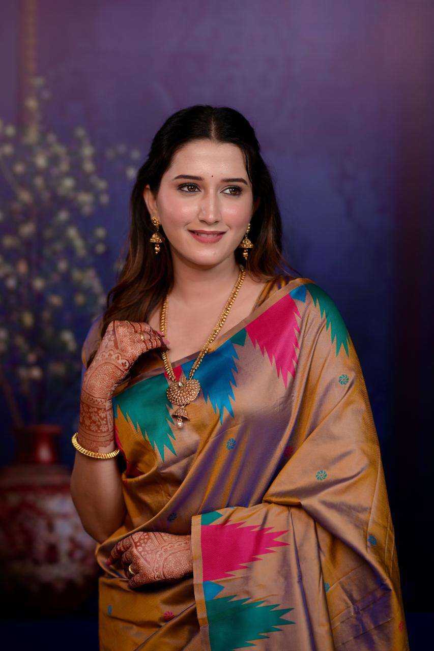 Ragini vol 3 soft silk Surat saree wholesale price