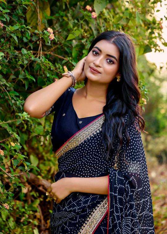 Shorya mono georgette with lace work Saree distributor in India