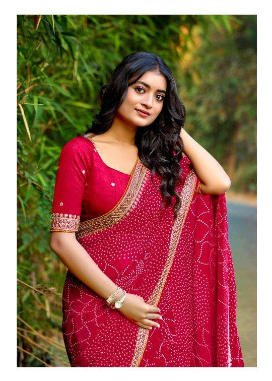 Shorya mono georgette with lace work Saree distributor in India