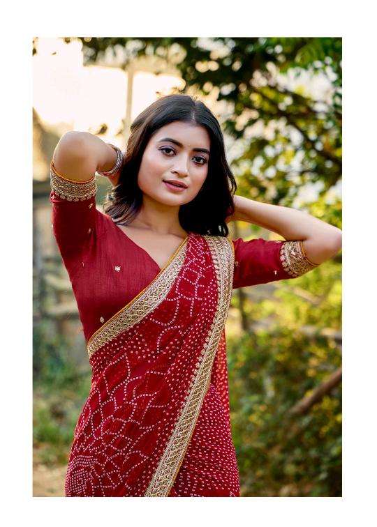 Shorya mono georgette with lace work Saree distributor in India