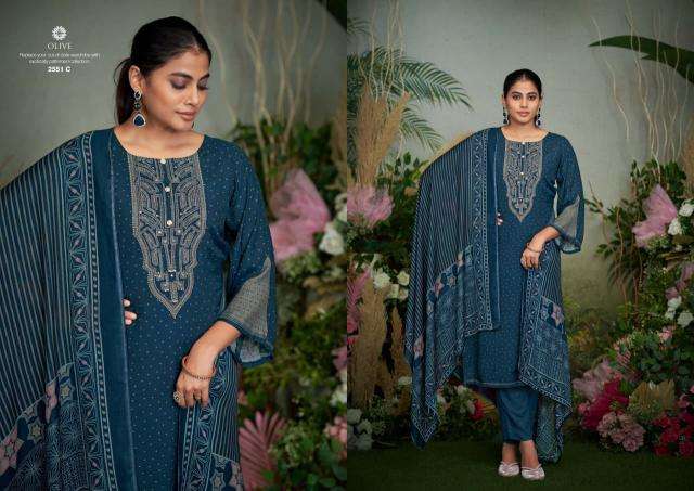 Sargam olive Delhi dress material market
