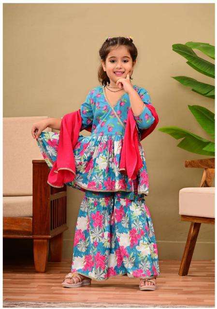 Karma kids 10 Kurti distributor in India