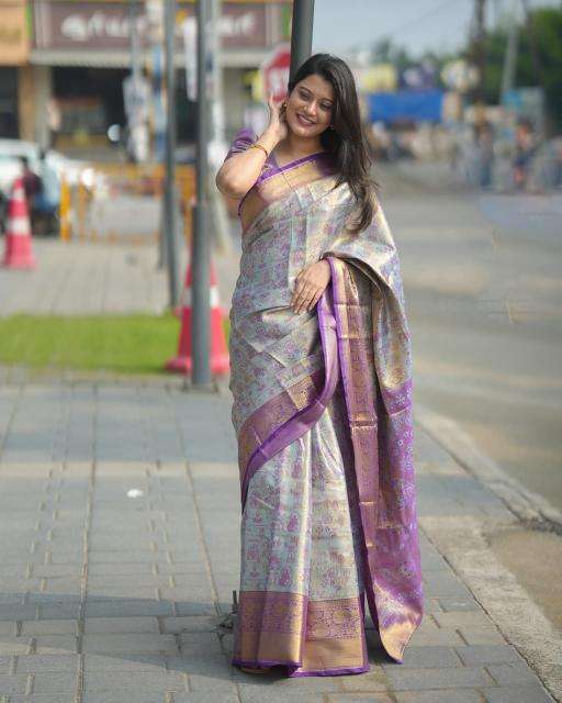 Malhar virasat Wholesale saree market