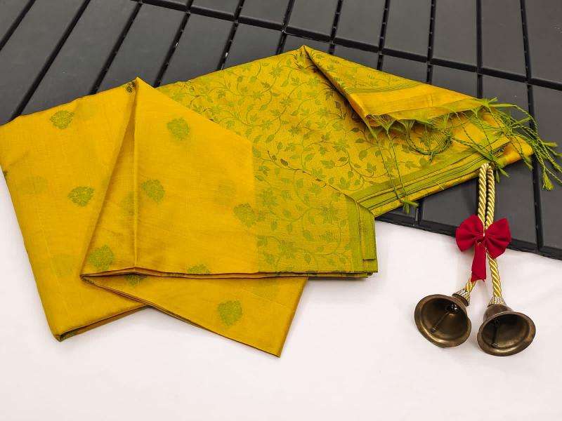 Akshara khadi raw silk Saree wholesalers in Ahmedabad