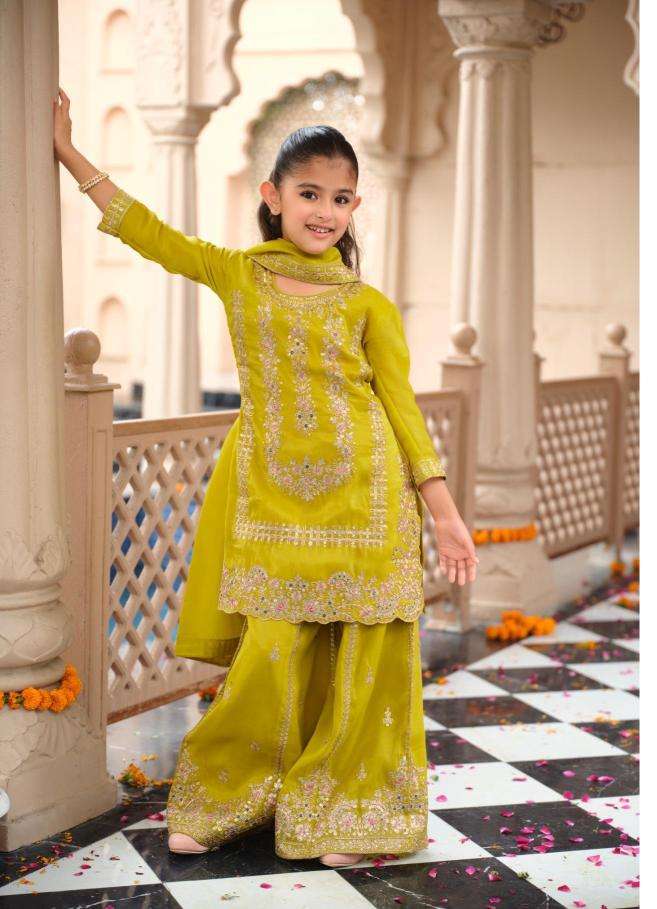 Shorya nanni munni krohi kids Kurtis manufacturers in Surat