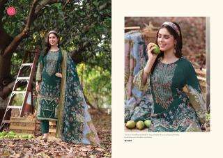 Belliza naira vol-143 wholesale indian dress supplier