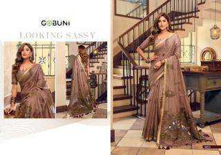 Gobuni shreya best wholesale saree market in delhi