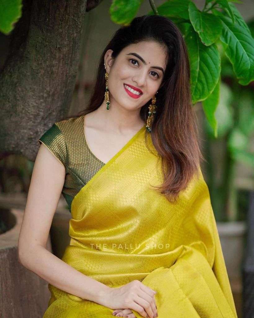 Soft Silk 4099 wholesale sarees online india