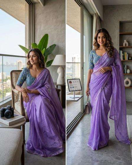 Astitva dual shaded Saree wholesale market in Ahmedabad