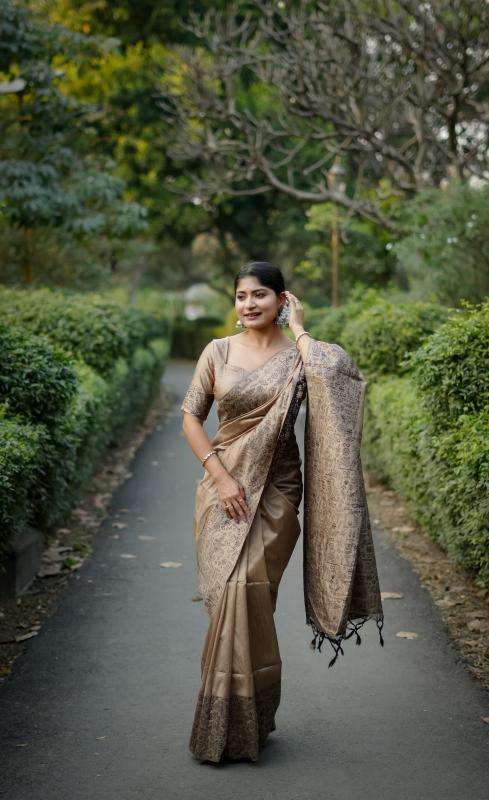 Akshara  wholesale saree market in ahmedabad with price
