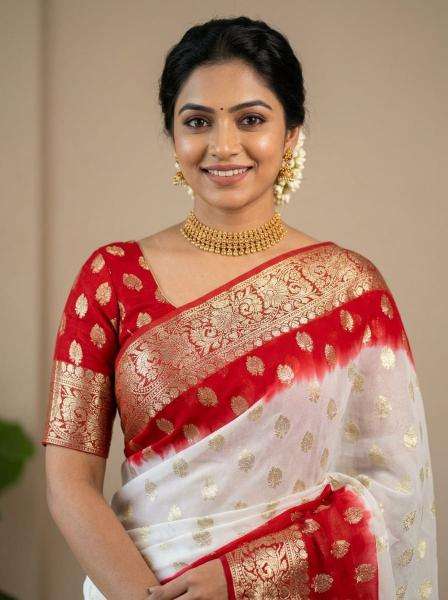Astitva dn-anushka-2d wholesale saree market in surat with price