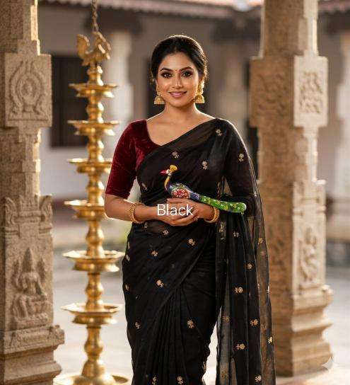 Astitva sartin  shimla saree centre